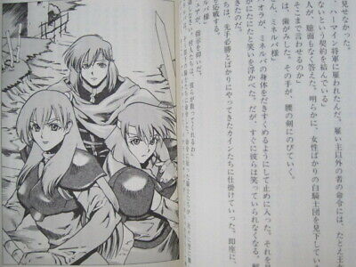 FIRE EMBLEM Ankokuryu to Hikari no Ken Novel SAMI SHINOSAKI Book