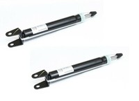 2 StoßDäMpfer Hinten Jeep Grand Cherokee 2011-2018 / Dodge Durango 2011-2018 Nty