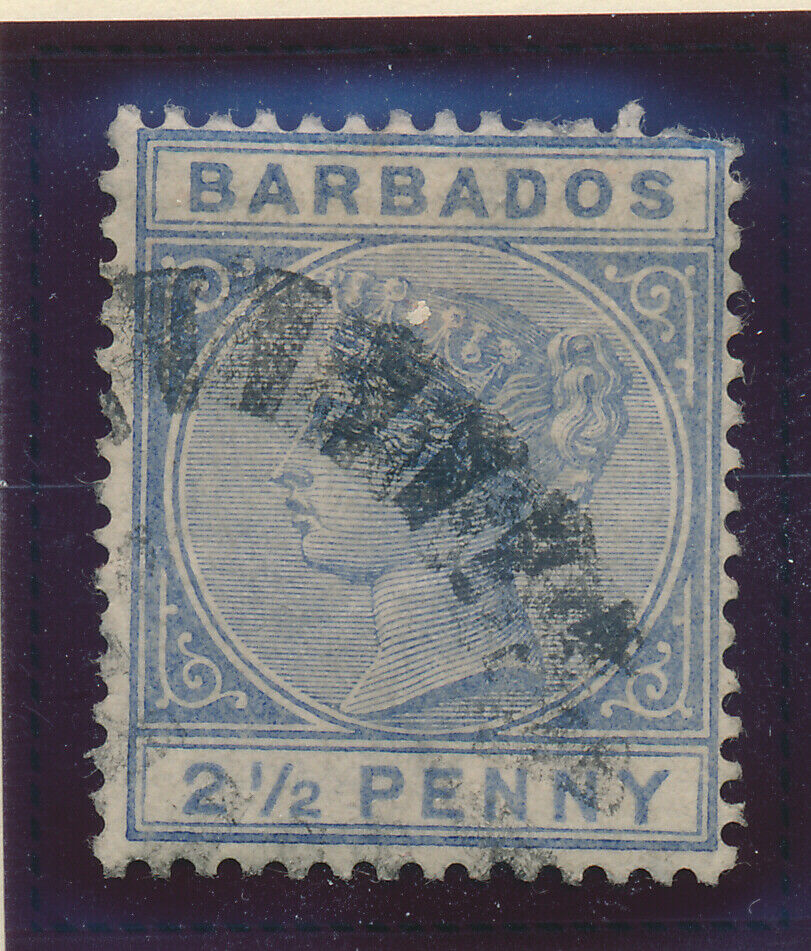 Foto 1 di 1