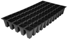 Peanut EcoTurf | 2 Inch | Arachis glabrata | Low