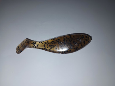2'' SHAD CRAW/ORANGE TAIL
