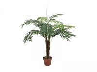 Europalms PhöNixpalme, 120Cm