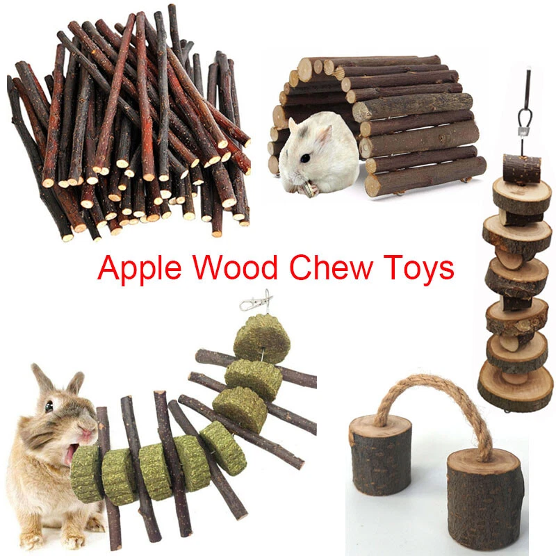 Guinea Pig Chew Sticks