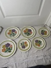 Vintage 70s Set Of 6 Franciscan Earthenware Small & Large Floral Dinner Plates 