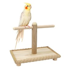 Parrot Perches Stand Bird Training Toy Natural Wood Paw Grinding Chew