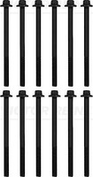 Victor Reinz 14-10017-01 Bolt Kit, Cylinder Head For BMW