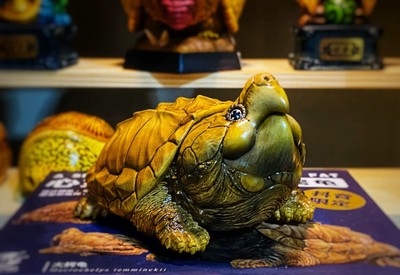 Animal Planet Alligator snapping turtle Animal Heavenly Body Collect Model