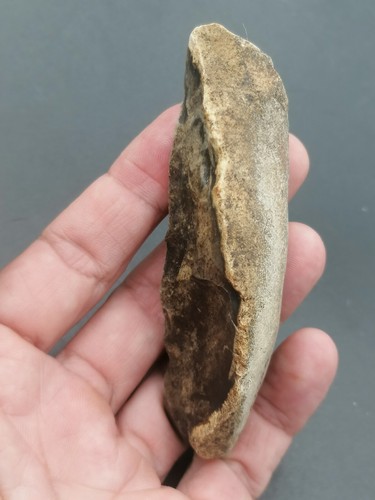 Early Middle Paleolithic Neanderthal Mousterian Backed Knife North of France - Picture 17 of 18