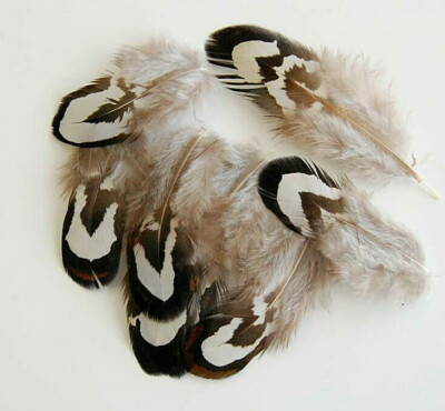 Black White Reeves Pheasant Smallies Body Feathers Plumage Jewelry 2'' 20 Pc