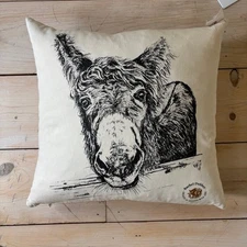 Rachel Dubber NWT M'asal Beag Dubh "My Little Black Donkey" Throw Pillow 18x18