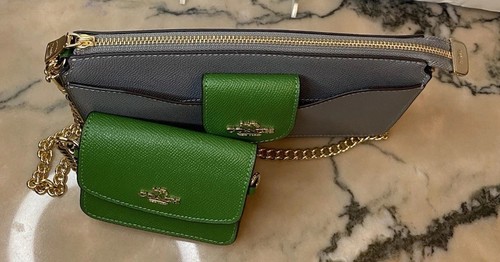 Coach Poppy Gold Chain Crossbody Bag With Card Case in Colorblock Gray/ Green - 第 2/17 張圖片