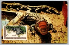 #1428 Wildlife Conservation Alligator Maxi Card