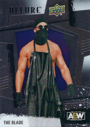 2022 Upper Deck Allure AEW Base Pick Your Card Complete Your Set WWE - 第 48/71 張圖片