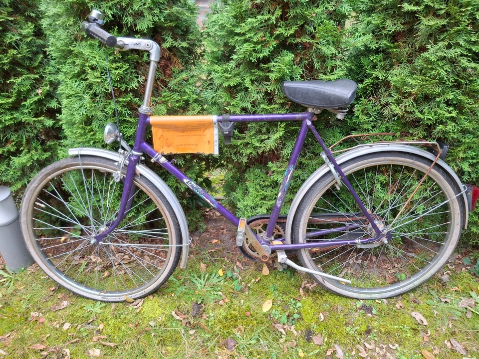 Eriko Herren Fahrrad (lila)