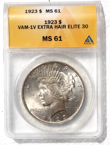 1923-P VAM-1V ANACS MS 61 Two Die Breaks in Hair  Elite 30 List