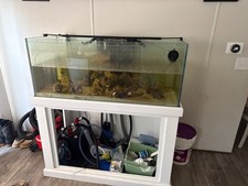 fish tank and stand with filter system