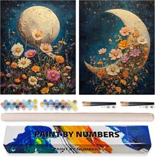 Possoco 2 Pack Paint by Numbers Kit for Adults 16x20 Inch, DG-OP-2P-Moon-4050