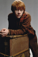 RUPERT GRINT signed Autogramm 20x30cm HARRY POTTER in Person autograph ACOA