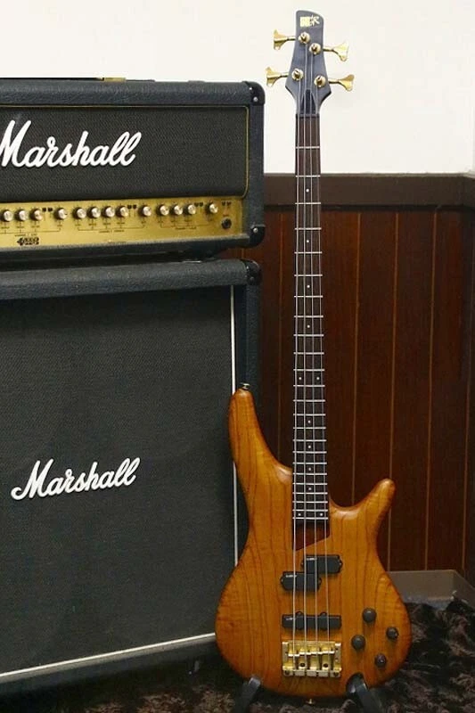 Ibanez sr 900 deals