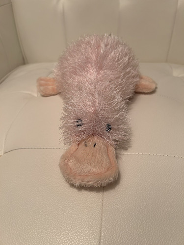 WEBKINZ GANZ Pink Google Platypus Stuffed Animal Toy Plush 11 Inch No Code Clean - Picture 6 of 9