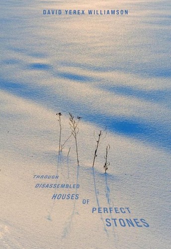 Through Disassembled Houses of Perfect Stones by David Williamson Paperback Book - 第 1/1 張圖片