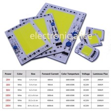 20W 50W 100W 200W COB LED Lamp Chip AC 220V Input High Power Smart IC No Driver