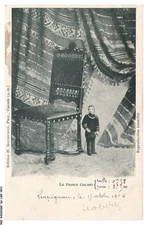 CAR-ABTP5-0320-CIRQUE - The Hummingbird Prince