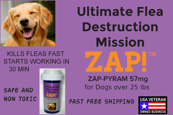 advocate flea for dogs