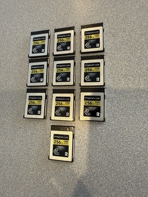 256 GB ProGrade Digital CFexpress  2.0 Type B Memory Card (Gold) 1700