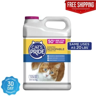 BRANDED Cats Pride Scoopable Scented Lightweight Clumping Clay Cat Litter, Flushable, 12