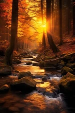 8 x 10 inch Collectible Art Print Highest Quality Photo Stock  522730628