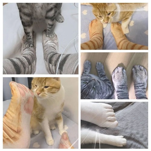 Novelty 3D Print Animal Paw Socks Polyester Middle Tube Sock - Picture 4 of 12