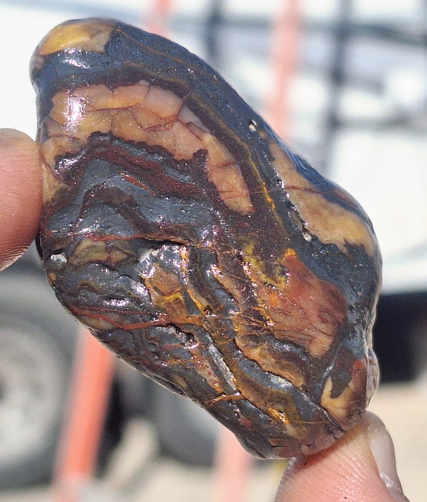 C3 Genesis Stone Banded Ironstone BIF Wyoming Healing therapy