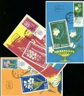 Israel 204-206 Flowers. Myrtle, Sea onion, Oleander, 1961 Maximum Card (1)