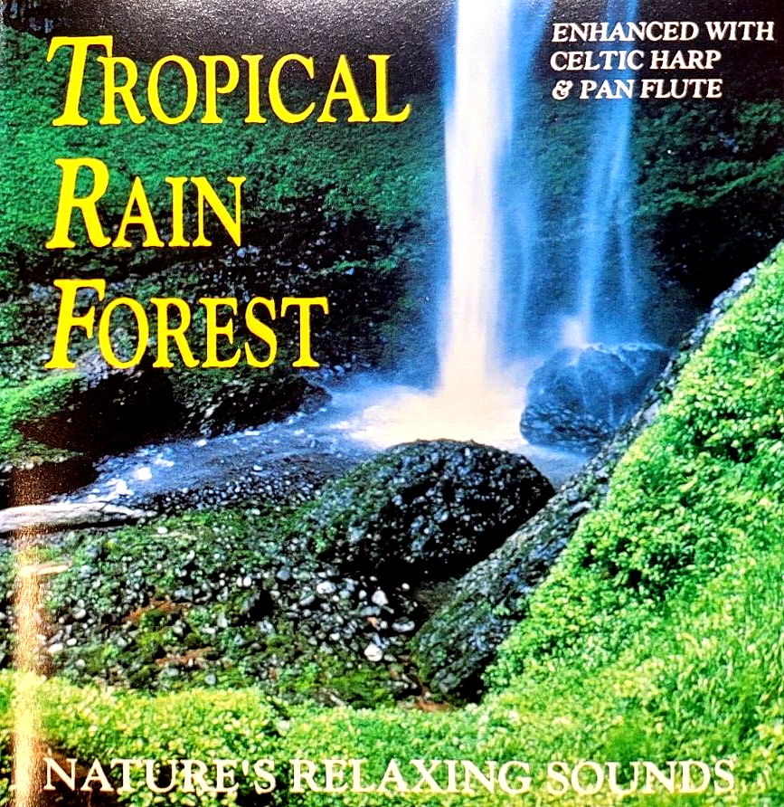 Tropical Rain Forest - 