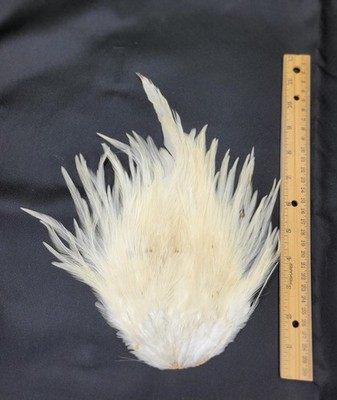 Lot  11,  Grade A,   Natural India Rooster Saddle Feathers for Fly Tying Jewelry