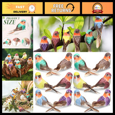 12 Pcs Colorful Artificial Birds Clip-On for Tree Decor, Realistic Feather Sparr