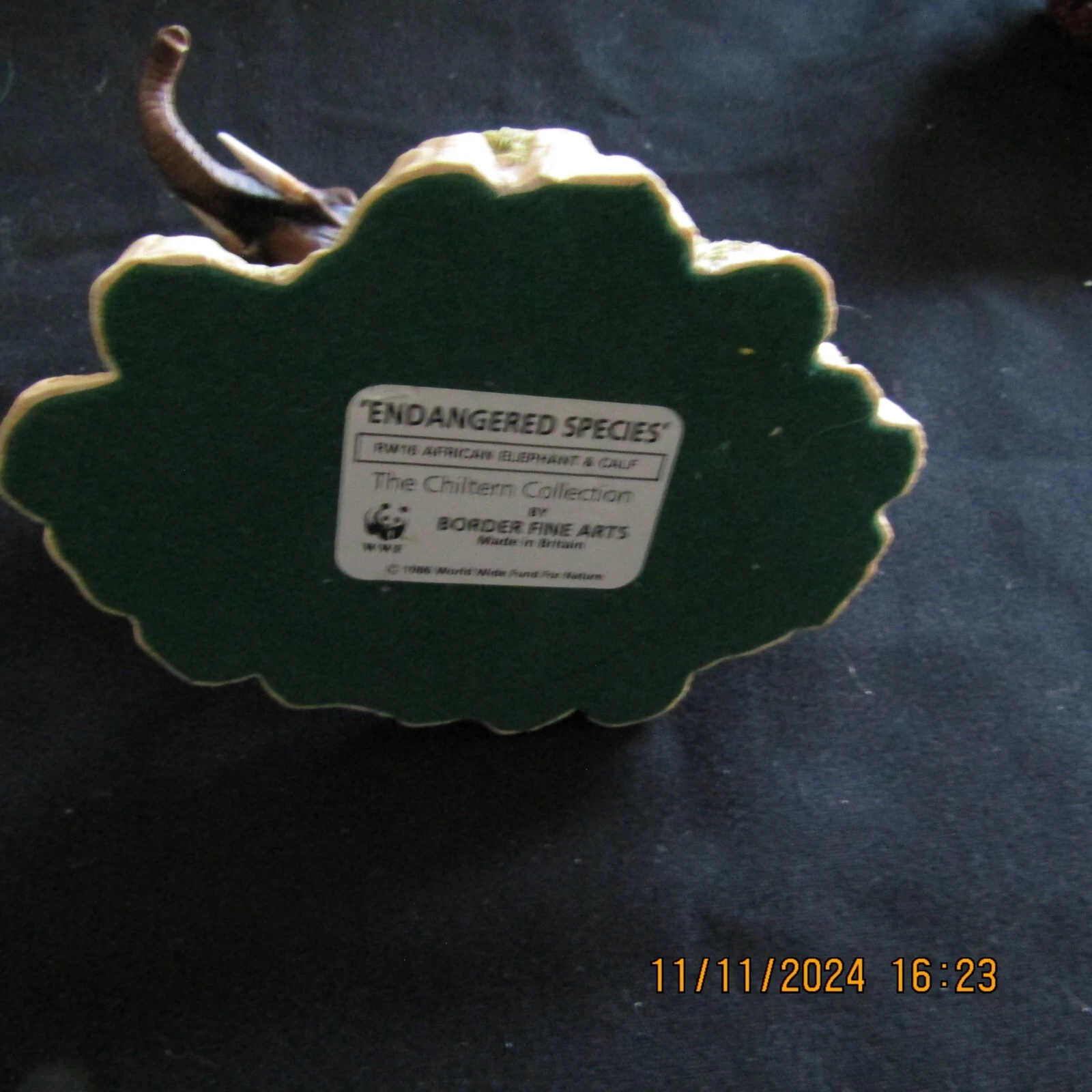 Picture 7 of 8