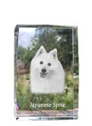 Japanese Spitz, Nihon Supittsu - Crystal With A Dog Image, B