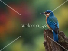 Digital image picture photo wallpaper background desktop art AI