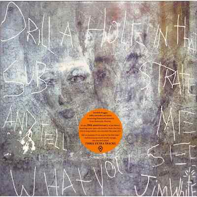 Jim White / DRILL A HOLE IN THAT SUBSTRATE AND TELL ME WHAT YOU SEE (2LP) / Lua