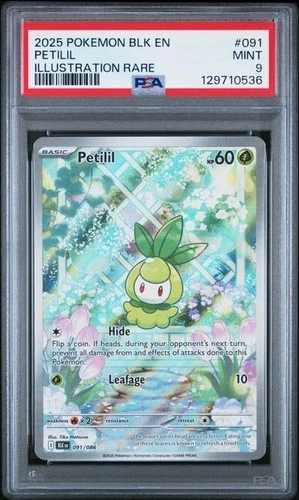 2025 Pokemon Blk Bolt Petilil #91 PSA 9