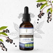 Secrets Of The Tribe Black Elderberry Tincture Alcohol-FREE