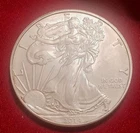 2014 American Silver Eagle  uncirculated 1 Oz Silver