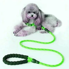 Tadeo Dash Green Reflective Rope Leash with Padded Loop Handle and Rotating Clip