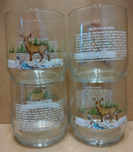 Set of 4 Vintage Sunoco American Wildlife White-Tailed Deer Glasses