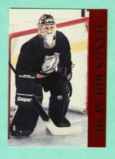 (1) MANON RHEAUME TAMPA BAY GOALIE PROMOTIONAL RED BORDER NM CARD  (K5399)