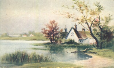 Where the Game Abounds Country Scene Lake House Art Postcard