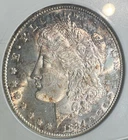 1884-CC $1 Morgan Dollar ANACS MS65PL Prooflike Early ANACS Holder Free Shipping