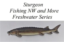Sturgeon Hat or Lapel Pin - Freshwater Series